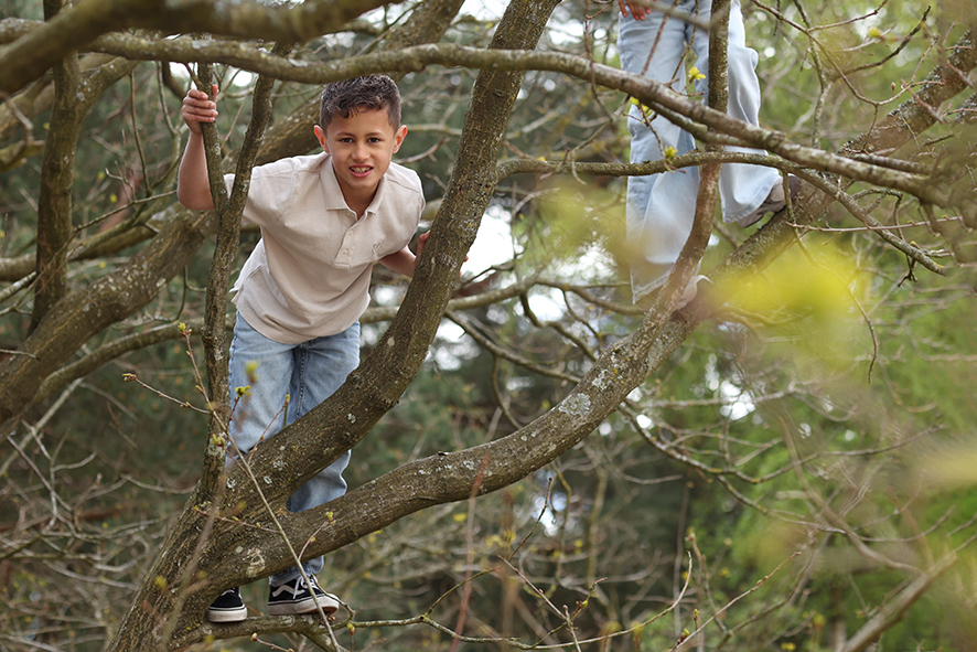 Kinderen klimmen in de bomen tijdens een gezinsfotoshoot